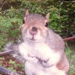 10249246_722101164601768_1873168623_a